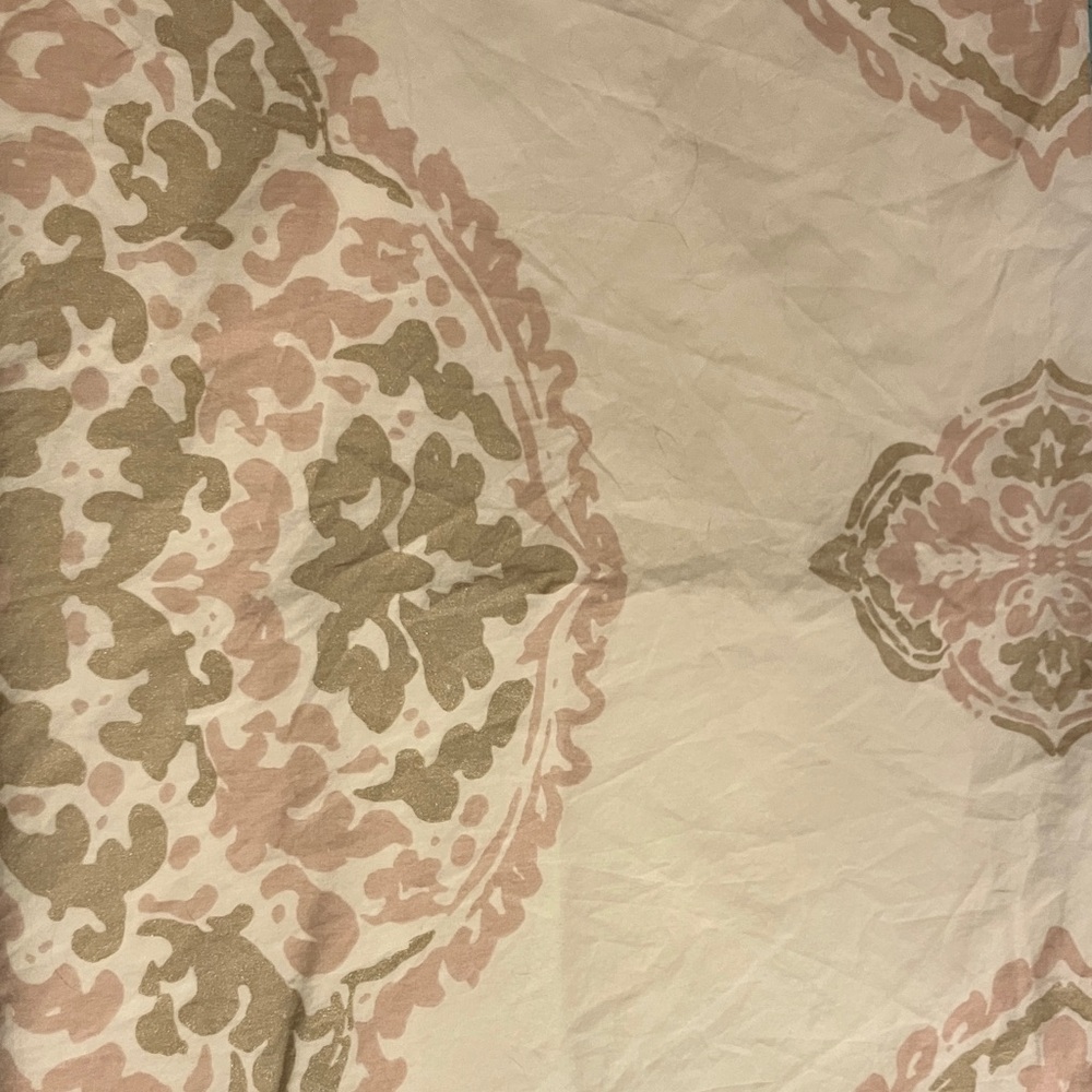 Pottery Barn Teen Pink and Tan Sham